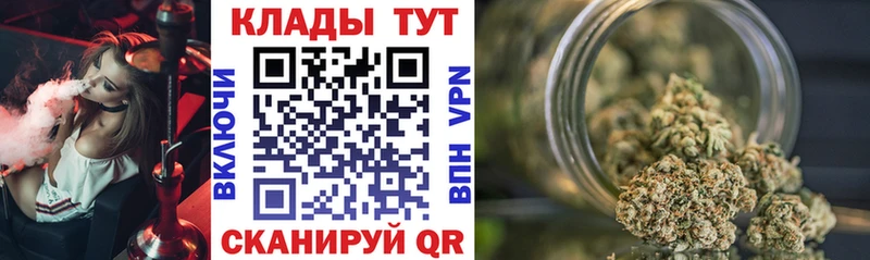 Купить наркоту Жирновск Кокаин  APVP  OMG вход  МЕФ  Гашиш  Псилоцибиновые грибы 