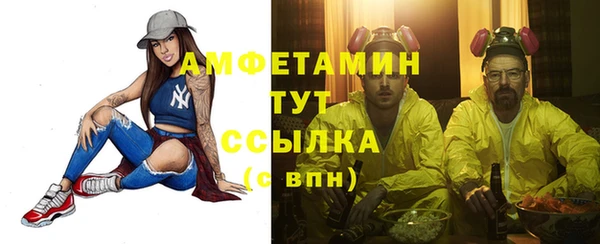 меф Ельня