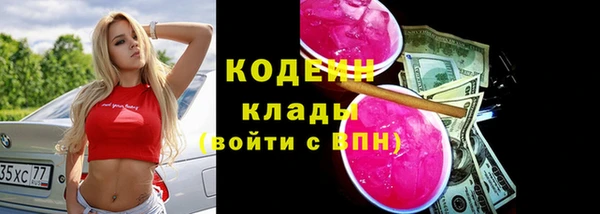 меф Ельня