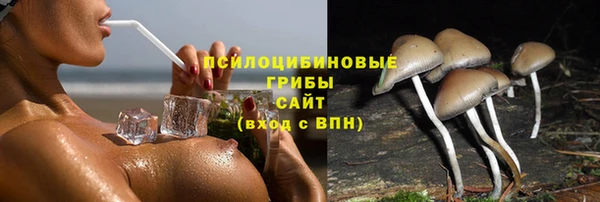 а пвп мука Елизово