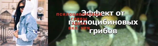 соль курить ск Дмитровск