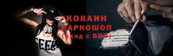 меф Ельня