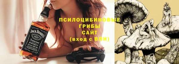 меф Ельня