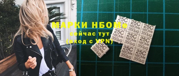 меф Ельня