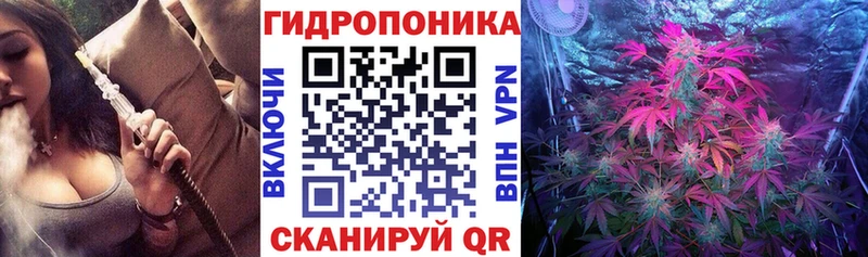 купить наркотики сайты  Жирновск  Канабис семена 